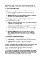 Eseja 'The Damnation of a Canyon: Glen Canyon Dam konfliktu analīze vides, kultūras un ', 10.