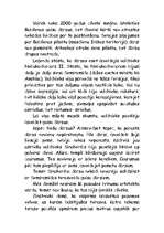 Eseja 'Babilonas gaisa dārzi', 2.