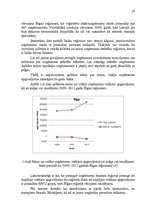 Diplomdarbs 'Mazo un vidējo uzņēmumu attīstība Latvijā', 19.