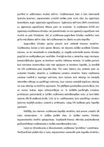 Referāts 'Finanšu stabilitātes analīze', 9.