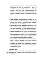 Konspekts 'SIA "Sportland" cenu politika', 2.