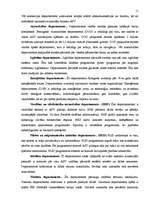 Referāts 'ASV valdība un politiskā struktūra', 11.