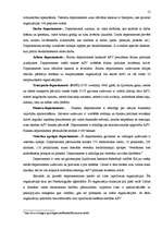 Referāts 'ASV valdība un politiskā struktūra', 12.