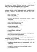 Referāts 'ASV valdība un politiskā struktūra', 14.