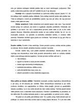 Referāts 'ASV valdība un politiskā struktūra', 19.