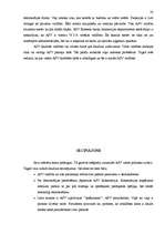 Referāts 'ASV valdība un politiskā struktūra', 20.