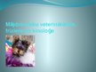Prezentācija 'Nākotnes profesija - veterinārārsts, mazo dzīvnieku frizieris un kinologs', 1.