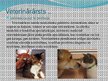 Prezentācija 'Nākotnes profesija - veterinārārsts, mazo dzīvnieku frizieris un kinologs', 3.