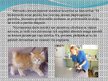 Prezentācija 'Nākotnes profesija - veterinārārsts, mazo dzīvnieku frizieris un kinologs', 6.