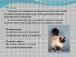 Prezentācija 'Nākotnes profesija - veterinārārsts, mazo dzīvnieku frizieris un kinologs', 9.