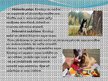 Prezentācija 'Nākotnes profesija - veterinārārsts, mazo dzīvnieku frizieris un kinologs', 11.