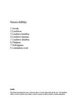 Referāts 'Locītavas', 2.