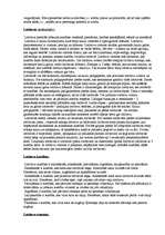 Referāts 'Locītavas', 3.