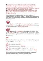 Konspekts 'Thirty Seconds to Mars', 2.