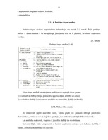 Referāts 'Biznesa plāns, tā sastādīšanas principi, struktūra un izstrādes organizācija', 13.