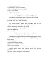 Referāts 'Biznesa plāns, tā sastādīšanas principi, struktūra un izstrādes organizācija', 14.