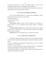 Referāts 'Biznesa plāns, tā sastādīšanas principi, struktūra un izstrādes organizācija', 24.