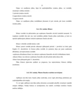 Referāts 'Biznesa plāns, tā sastādīšanas principi, struktūra un izstrādes organizācija', 25.