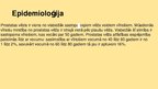 Prezentācija 'Prostatas vēzis', 4.