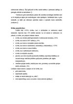 Konspekts 'Tuberkuloze', 4.