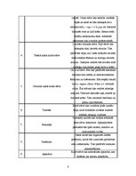 Biznesa plāns 'Biznesa plāns SIA "Anthill"', 6.