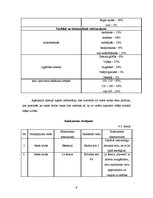 Biznesa plāns 'Biznesa plāns SIA "Anthill"', 9.