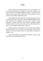 Referāts 'Kultūras definīcijas', 3.