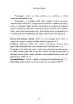 Referāts 'Kultūras definīcijas', 6.