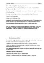 Prakses atskaite 'Prakses atskaite', 46.