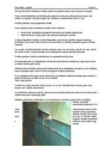 Prakses atskaite 'Prakses atskaite', 51.