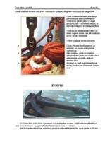 Prakses atskaite 'Prakses atskaite', 59.