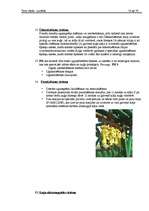 Prakses atskaite 'Prakses atskaite', 70.