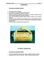 Prakses atskaite 'Prakses atskaite', 77.