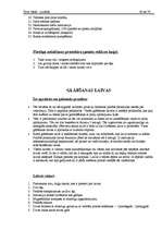 Prakses atskaite 'Prakses atskaite', 80.