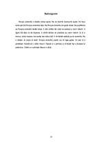 Referāts 'Eiropas Savienība', 16.