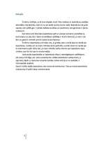 Referāts 'Basketbols', 3.