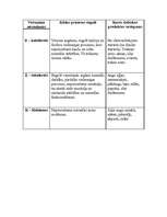 Konspekts 'Vitamīni', 3.