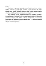 Referāts 'Menedžments', 2.