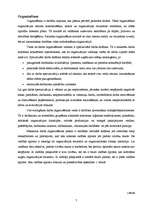 Referāts 'Menedžments', 7.