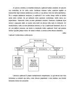 Referāts 'Menedžments', 11.