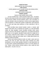 Referāts 'Menedžments', 13.