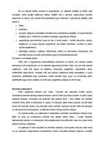 Referāts 'Menedžments', 16.