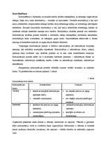 Referāts 'Menedžments', 18.