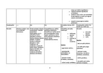Referāts 'Individuālais komersants kā viena no komercdarbības formām Latvijā', 6.