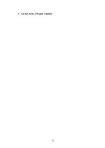 Referāts 'Individuālais komersants kā viena no komercdarbības formām Latvijā', 17.