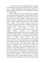 Konspekts 'Raiņa parka raksturojums', 3.