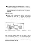 Referāts 'Sublimācija', 20.