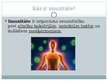 Prezentācija 'Imunitāte', 2.