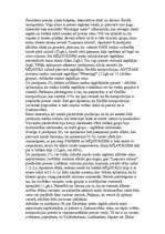 Referāts '"Liepzars" veikala darba analīze', 13.