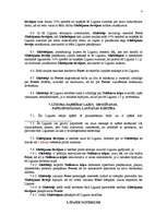 Paraugs 'Glabājuma līgums', 4.